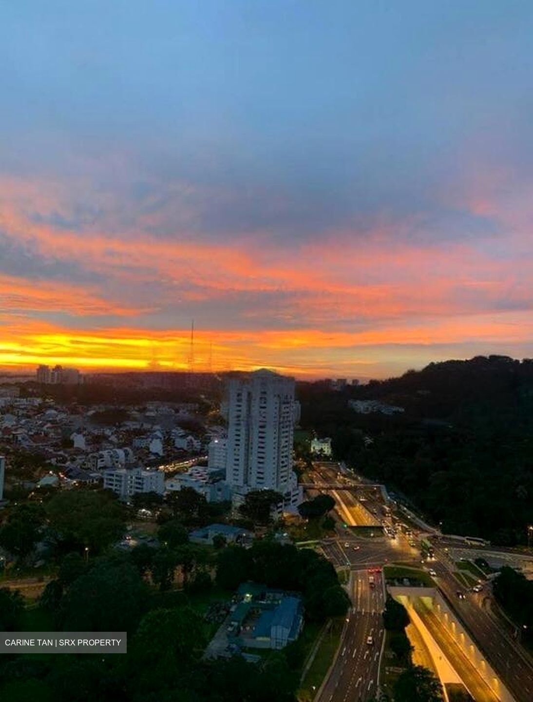 Bukit Timah Plaza / Sherwood Towers (D21), Apartment #469773971